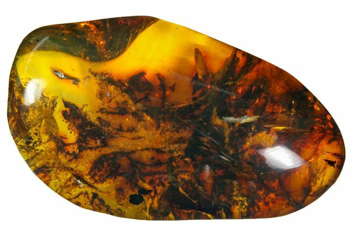 Polished Chiapas Amber ( g) - Mexico #114759